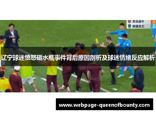 辽宁球迷愤怒砸水瓶事件背后原因剖析及球迷情绪反应解析