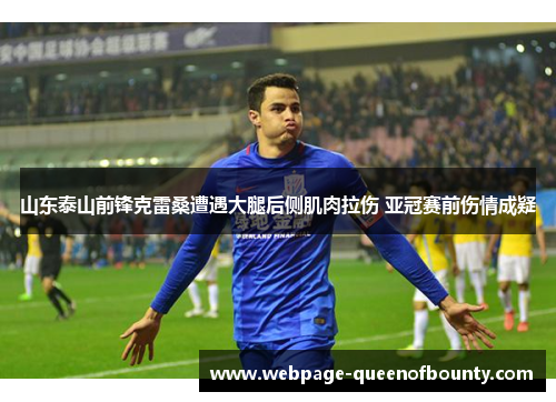 山东泰山前锋克雷桑遭遇大腿后侧肌肉拉伤 亚冠赛前伤情成疑