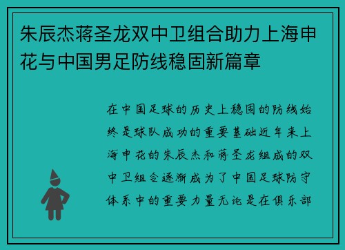 朱辰杰蒋圣龙双中卫组合助力上海申花与中国男足防线稳固新篇章